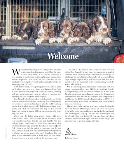 Gundog Journal Magazine Screen 2