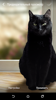 かわいい黒猫ライブ壁紙のおすすめ画像2