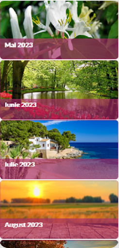 Calendar Ortodox 2024 Screen 2