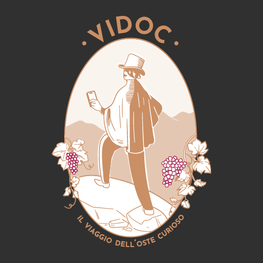 VIDOC AR logo