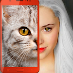Cover Image of Download Kitten: what cat are you? joke  APK