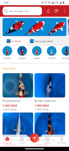 Android application SAN XAXI screenshort