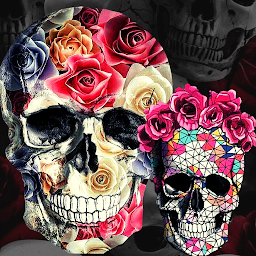 Icoonafbeelding voor Skull Wallpapers Mobile