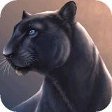 Panther live wallpaper icon
