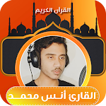 Cover Image of Télécharger القران الكريم بصوت انس محمد  APK