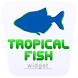 Tropical Fish Widget - Androidアプリ