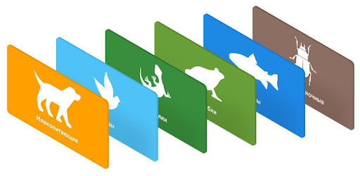 Животные Красной книги России