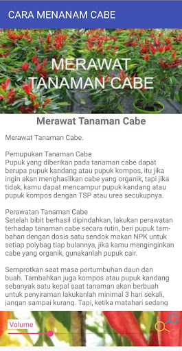 CARA MENANAM CABE Screen 3