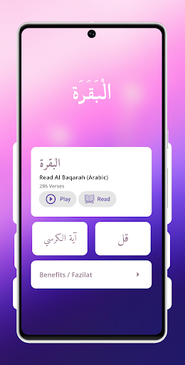 Surah Baqarah Screenshot 1 - AppWisp.com