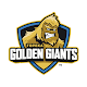 Topeka Golden Giants Download on Windows