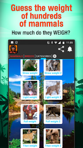 Android application Animal weight Quiz - trivia screenshort