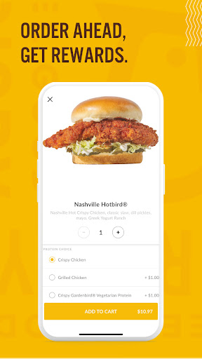 Android application Starbird Chicken screenshort
