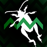 Leaf Beetle ID Guide icon