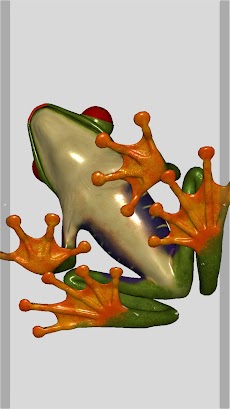 3D Frog Skeletonのおすすめ画像4