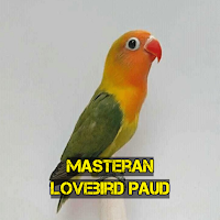 Masteran Lovebird Paud Konslet