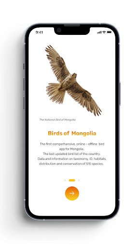 Birds of Mongolia Screen 2