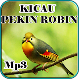 Kicau Masteran Pekin Robin Mp3 icon