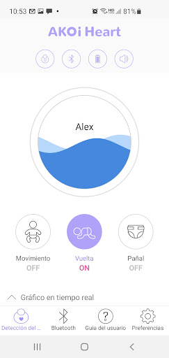 Vista previa de la aplicación