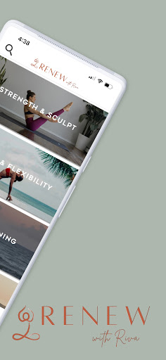 Screenshot of RENEW with Riva