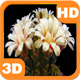 Blooming Flower Cactus Buds icon