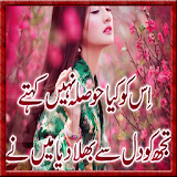 New Urdu 2 Line Poetry icon