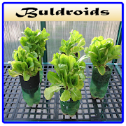 Best Hydroponic Systems
