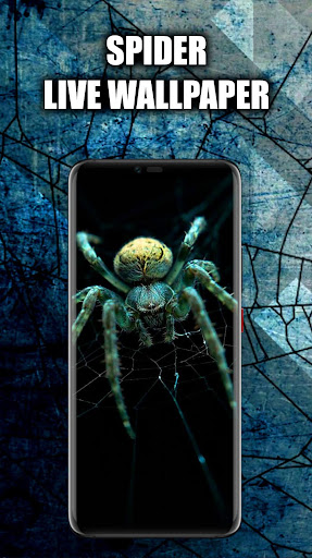 Android application Spider Wallpaper Live HD/3D/4K screenshort