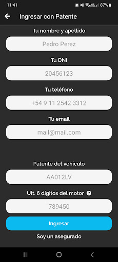 AbsaNet Asegurados Screen 3