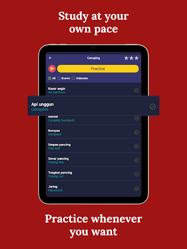 Learn Indonesian - Beginners screenshot 16