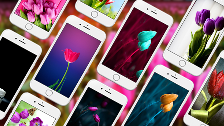 Tulip Live Wallpapers - 1.0.0 - (Android)