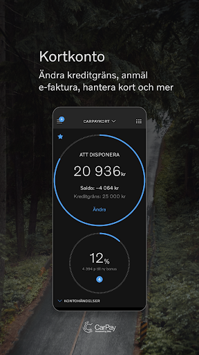 CarPay Screen 2