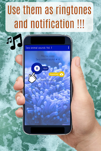 Sea Animal Sounds. Screen 3