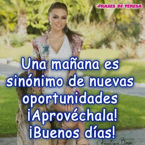 Screenshot 3 Frases de Teresa Indirectas android