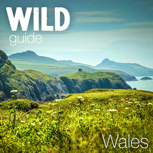 Wild Guide Wales