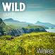 Wild Guide Wales - Androidアプリ