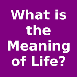 What is the Meaning of Life? icon