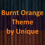 eXpeRianZ™ Theme Burnt Orange icon