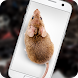 スクリーン怖いジョーク上マウス - iRat - Androidアプリ