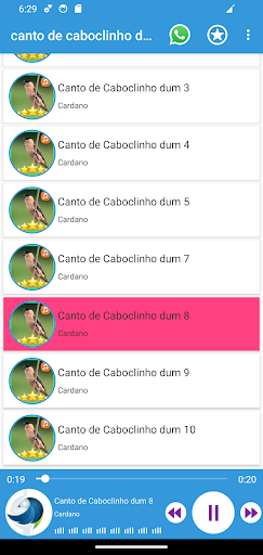 Android application Canto de Caboclinho do Remi screenshort