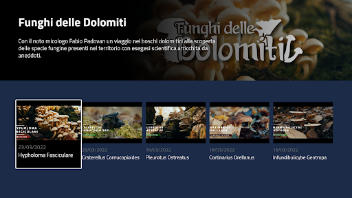 Dolomiti Life TV Screen 3