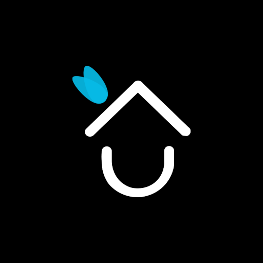 Curiousfly logo