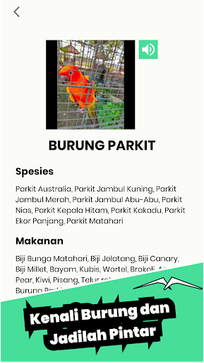 MiBird Screen 3