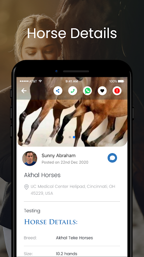 Horse Match Screen 3