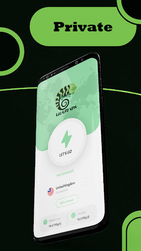 Lizard VPN Screen 2