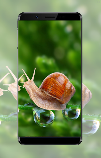 Android application Macro Wallpapers Awesome screenshort