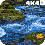 4K River Live Wallpaper icon