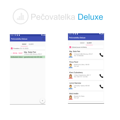 Pečovatelka Deluxe logo