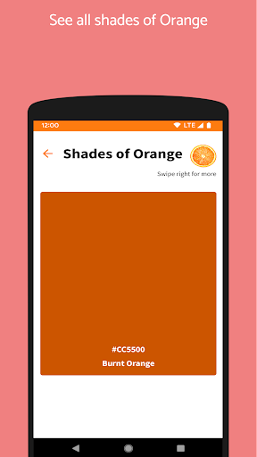 The Orange App Screen 2