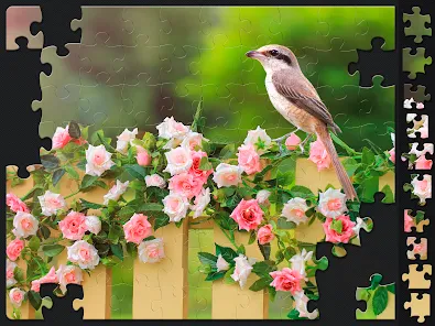 Jigsaw Puzzles for Adults 17