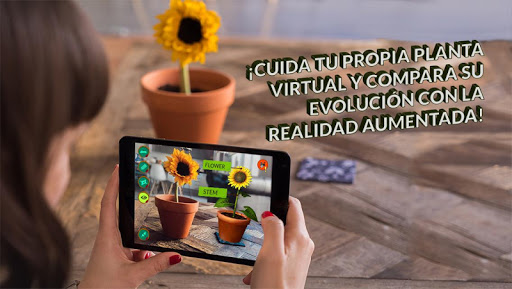 Vista previa de la aplicación